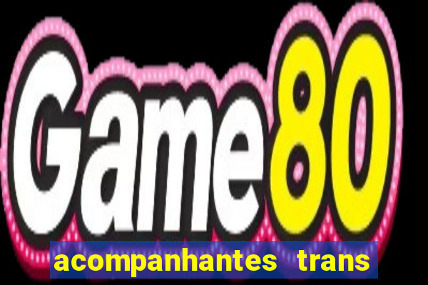 acompanhantes trans baixada fluminense